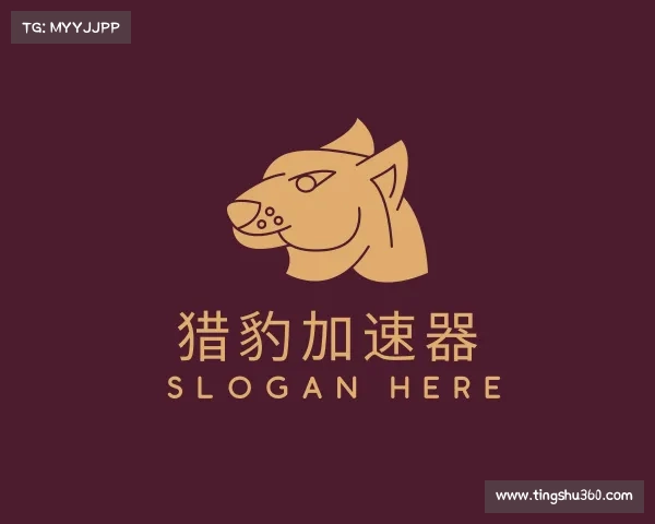 了解猎豹加速器